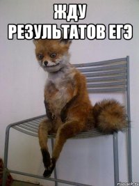 Жду результатов ЕГЭ 