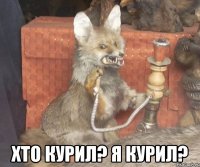  хто курил? я курил?