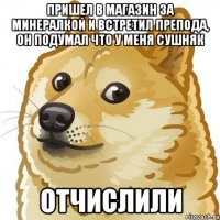 пришел в магазин за минералкой и встретил препода, он подумал что у меня сушняк отчислили
