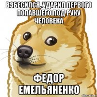взбесился, ударил первого попавшего под руку человека Федор Емельяненко