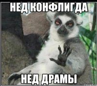 НЕД КОНФЛИГДА НЕД ДРАМЫ