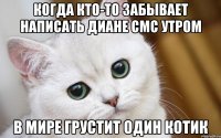 Когда кто-то забывает написать Диане смс утром В мире грустит один котик