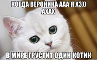 когда Вероника Ааа я хз)) ахах в мире грустит один котик