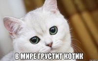  в мире грустит котик