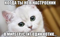 Когда ты не в настроении В мире грустит один котик...