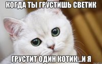 Когда ты грустишь Светик Грустит один котик...и я