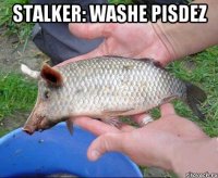 stalker: washe pisdez 