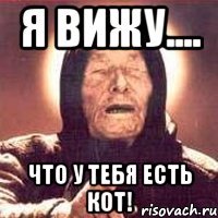 Я вижу.... Что у тебя есть кот!