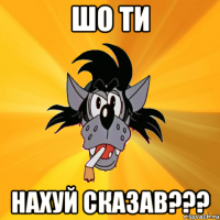 Шо ти Нахуй сказав???