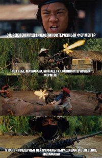Эй, где твой ацетилхолиностеразный фермент? Вот тебе, мазафака, мой ацетилхолиностеразный фермент!  Я палочкоядерные нейтрофилы выращиваю в селезёнке, мазафака!