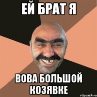 Ей брат я Вова большой козявке