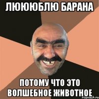 Люююблю барана Потому что это волшебное животное