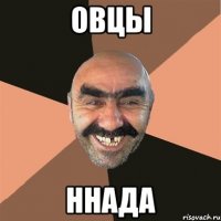 овцы ннада