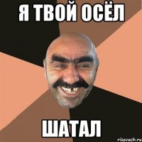я твой осёл шатал
