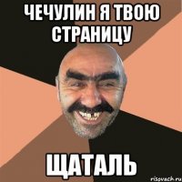 Чечулин Я твою страницу ЩаТаЛь