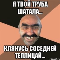 я твой труба шатала... клянусь соседней теплицай...