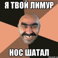 я твой лимур нос шатал