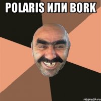 Polaris или Bork 