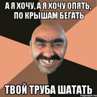 а я хочу, а я хочу опять, по крышам бегать ТВОЙ ТРУБА ШАТАТЬ