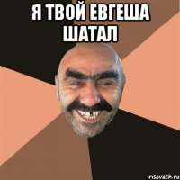 Я твой евгеша шатал 