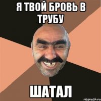 я твой бровь в трубу шатал