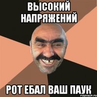 Высокий напряжений рот ебал ваш паук