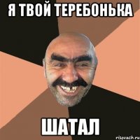 Я твой теребонька шатал