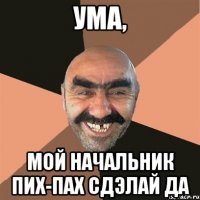 Ума, мой начальник пих-пах сдэлай да