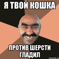 Я твой кошка против шерсти гладил