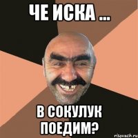Че Иска ... В Сокулук поедим?