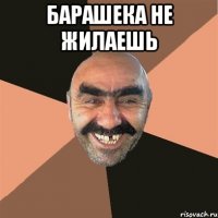 барашека не жилаешь 