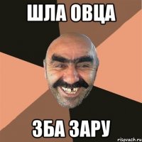 шла овца зба зару