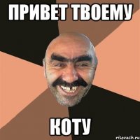 Привет твоему КОТУ