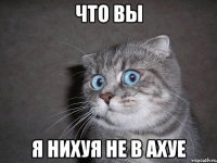 что вы я нихуя не в ахуе