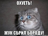 ОХУЕТЬ! ЖУК СБРИЛ БОРОДУ!