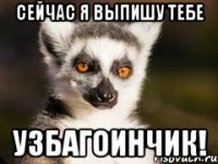 Сейчас я выпишу тебе узбагоинчик!