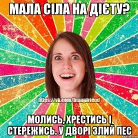 мала сіла на дієту? молись, хрестись і стережись. у дворі злий пес