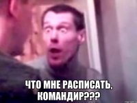  Что мне расписать, командир???