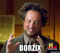  BORZIX