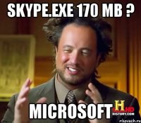 Skype.exe 170 mb ? Microsoft