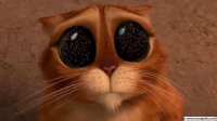 Создать мем котик