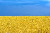 Создать мем Прапор Украни