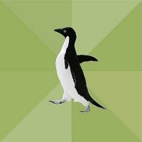 это я бегу в ванну, Мем  Среднестатистический пингвин