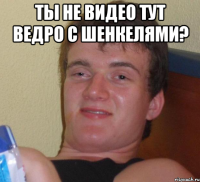 ТЫ НЕ ВИДЕО ТУТ ВЕДРО С ШЕНКЕЛЯМИ? 