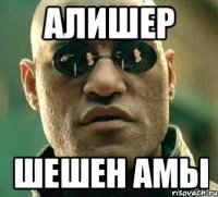 Алишер шешен амы