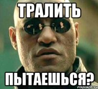 тралить пытаешься?