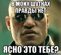 В моих шутках Правды НЕТ Ясно это тебе?