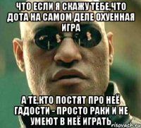 что если я скажу тебе,что дота на самом деле охуенная игра а те,кто постят про неё гадости - просто раки и не умеют в неё играть