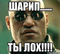 Шарип...... Ты лох!!!!