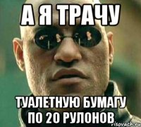 А Я ТРАЧУ ТУАЛЕТНУЮ БУМАГУ ПО 20 РУЛОНОВ